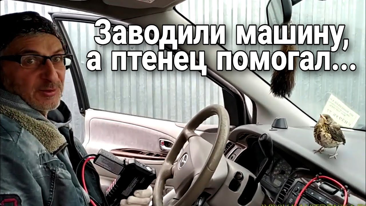 Как проверить накат автомобиля